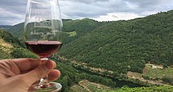 4 Days Circuit 2 to 8 people Galicia - Santiago de Compostela & Ribeira Sacra