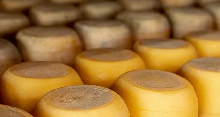 50ª Fiesta del Queso de Arzúa_45