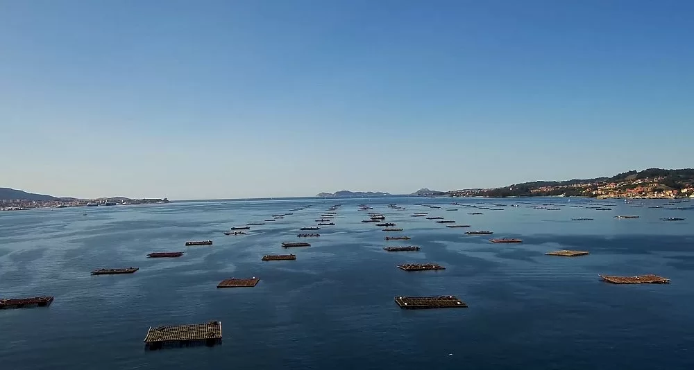 Circuito privado por las Rías Bajas y Altas de Galicia