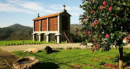 Conoce Galicia: Ventajas y planes_63