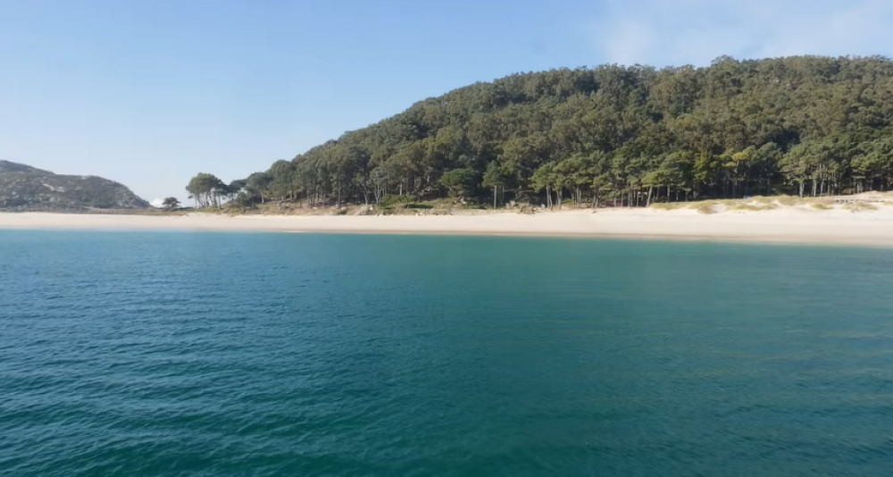 Crucero y gastronomía en la Ría de Arousa