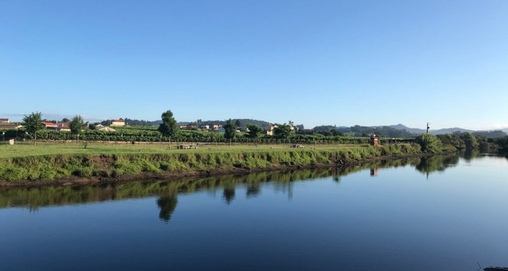 Escapada cultural y enológica a Monasterio de Poio Galicia