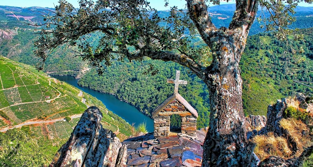 Escapada Enológica D.O. Ribeira Sacra y Monasterio San Vicente do Pino
