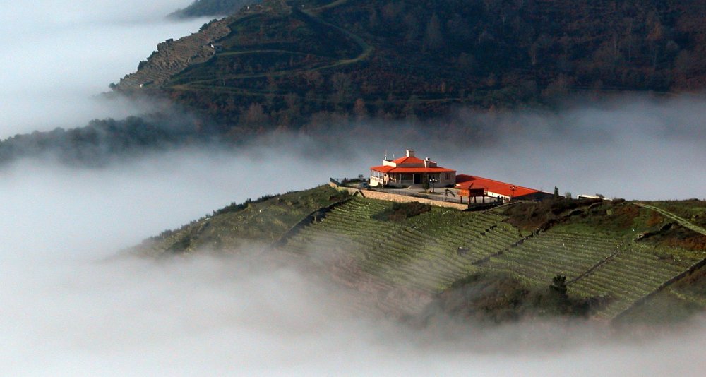 Escapada Enológica D.O. Ribeira Sacra y Monasterio San Vicente do Pino