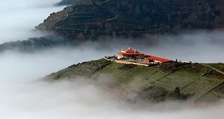 Escapada Enológica D.O. Ribeira Sacra y Monasterio San Vicente do Pino