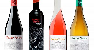 Escapada Enológica D.O. Ribeira Sacra y Monasterio San Vicente do Pino