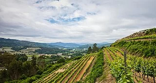 Escapada Enológica en Pazos de Galicia