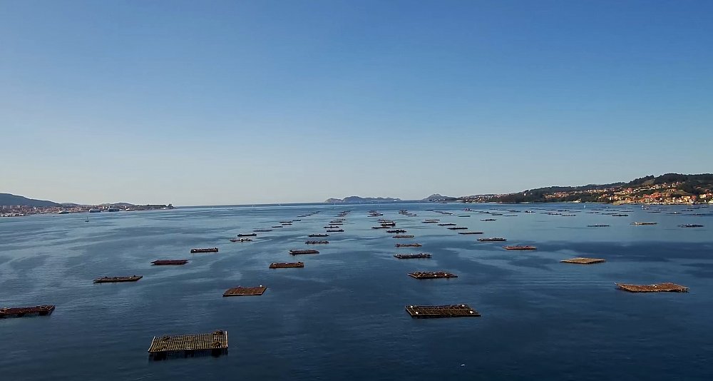 Escapada Gastronómica en Vigo