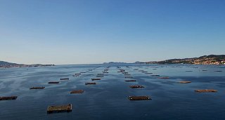Escapada Gastronómica en Vigo