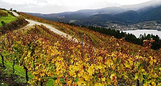 Escapada Gastronómica y Enológica en Ourense