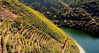 Escapada Privada Termal-Relax en la Ribeira Sacra