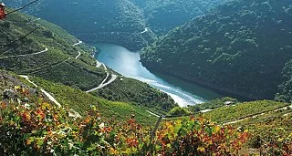 Escapada Privada Termal-Relax en la Ribeira Sacra