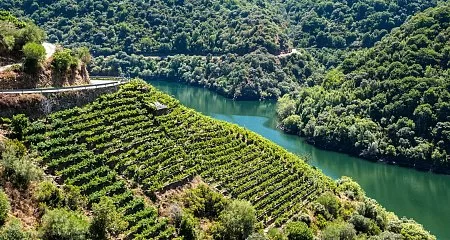 Escapadas mixtas en Galicia: rías y montañas_84