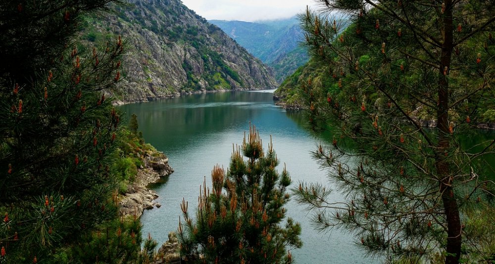 Excursión privada a la Ribeira Sacra
