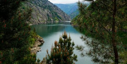 Excursión privada a la Ribeira Sacra