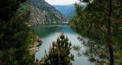 Excursión Privada a la Ribeira Sacra - Monasterios, Paisajes y Gastronomía