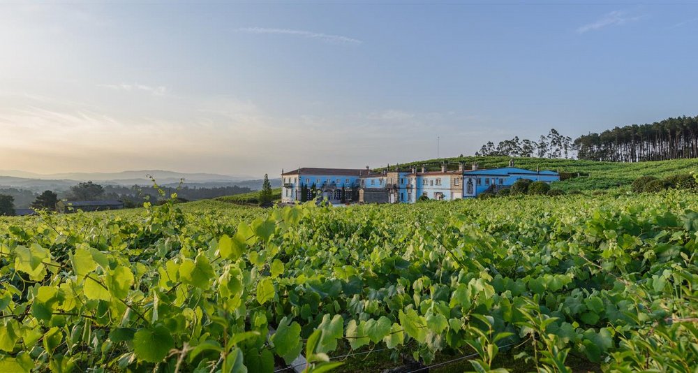Excursión privada por las Bodegas de las Rías Baixas