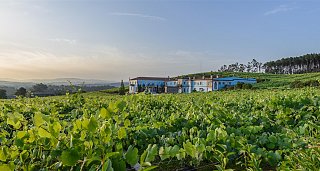 Excursión privada por las Bodegas de las Rías Baixas