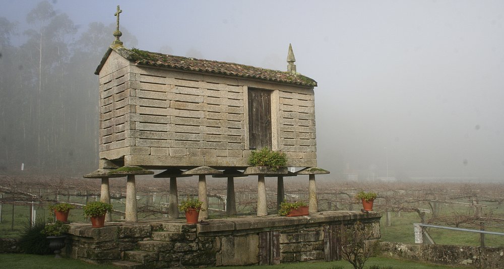 Excursión privada por las Bodegas de las Rías Baixas
