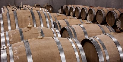 Excursión privada por las Bodegas de las Rías Baixas