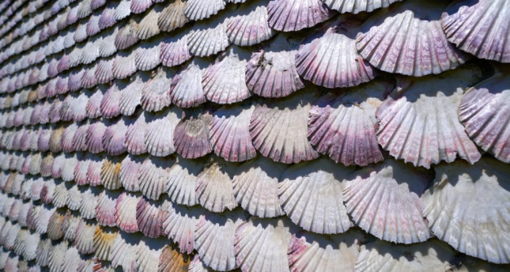 Excursión privada por las Rías Baixas