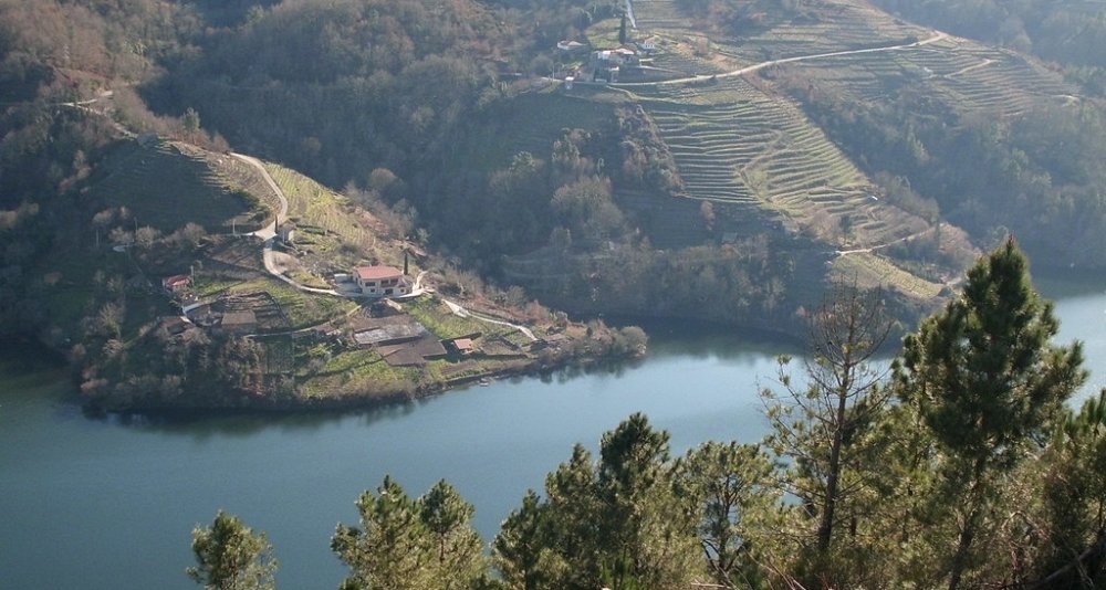 Excursión Ribeira Sacra
