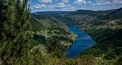 Excursión Ribeira Sacra