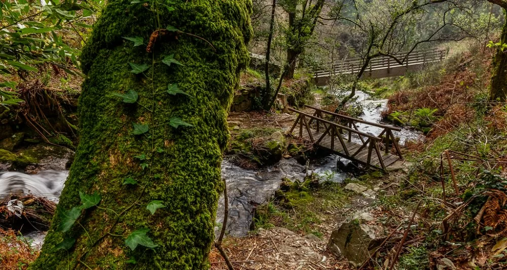 Galicia y Norte de Portugal - Hotel Nova Astur 3*