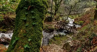 Galicia y Norte de Portugal - Hotel Nova Astur 3*