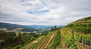 Gastro - Oenological getaway at manor houses of Galicia
