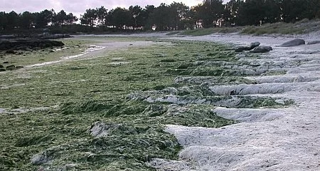 Illa de Arousa: Una joya en la costa._17