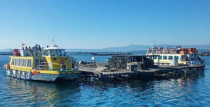 Mussels route from O Grove