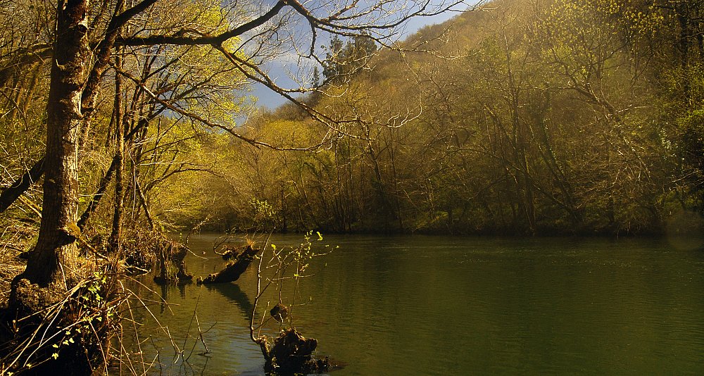 Naturaleza salvaje: Fragas de Eume