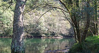 Naturaleza salvaje: Fragas de Eume