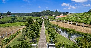 Oenological Gateway & Pazos de Galicia. The Camellia Route