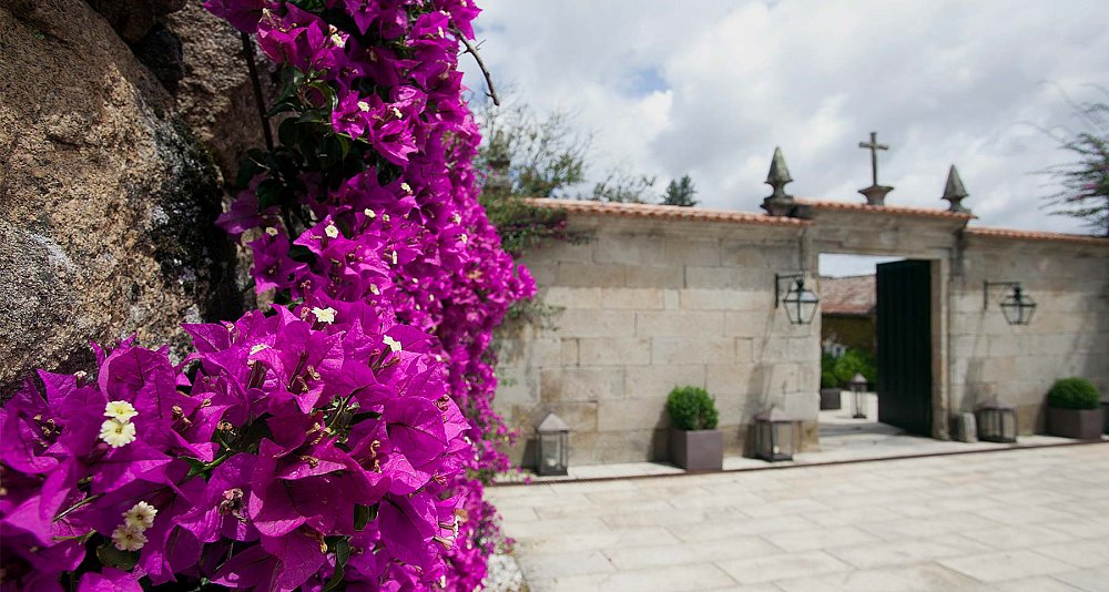 Oenological Gateway & Pazos de Galicia. The Camellia Route