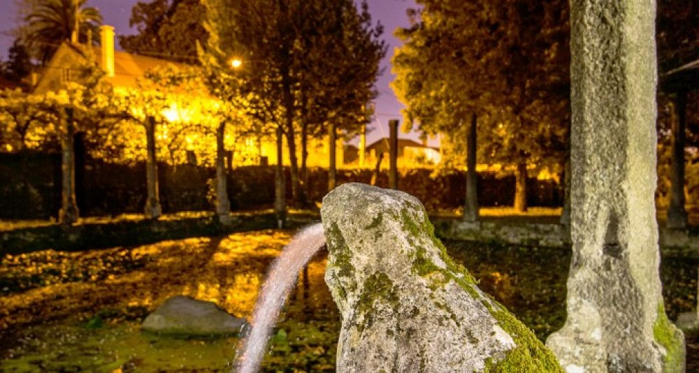 Oenological Gateway & Pazos de Galicia. The Camellia Route