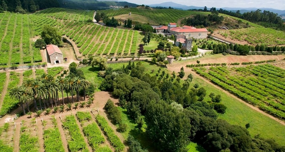 Oenological Gateway & Pazos de Galicia. The Camellia Route