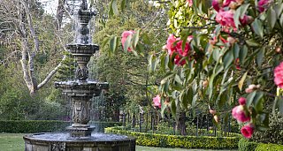 Oenological Gateway & Pazos de Galicia. The Camellia Route