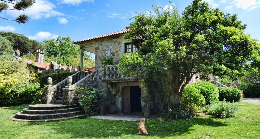 Oenological Gateway & Pazos de Galicia. The Camellia Route