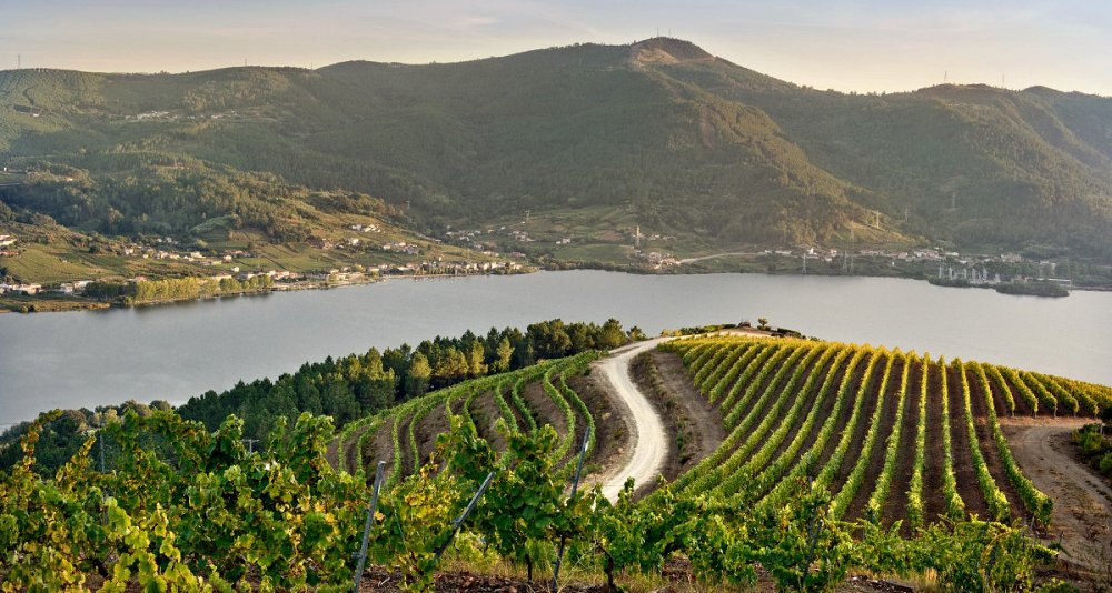 Private Circuit Santiago - Ribeira Sacra