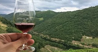 Private Thermal-Relax Getaway in the Ribeira Sacra Private Thermal-Relax Getaway in the Ribeira Sacra