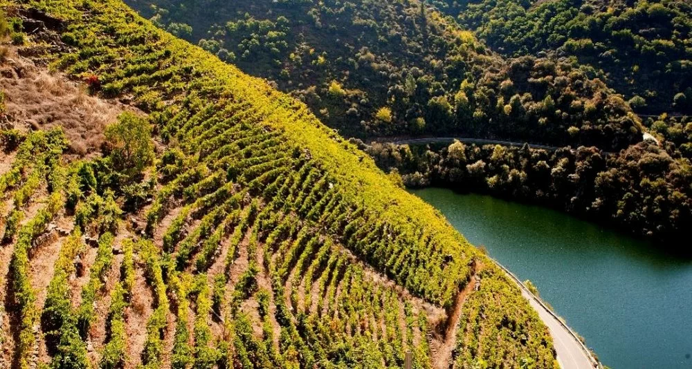 Private Thermal-Relax Getaway in the Ribeira Sacra Private Thermal-Relax Getaway in the Ribeira Sacra