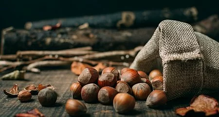 Qué hacer en Galicia en otoño: rutas cobrizas