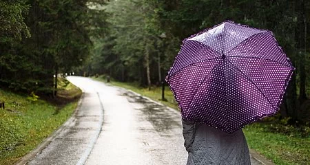 ¿Qué hacer en Pontevedra si llueve?