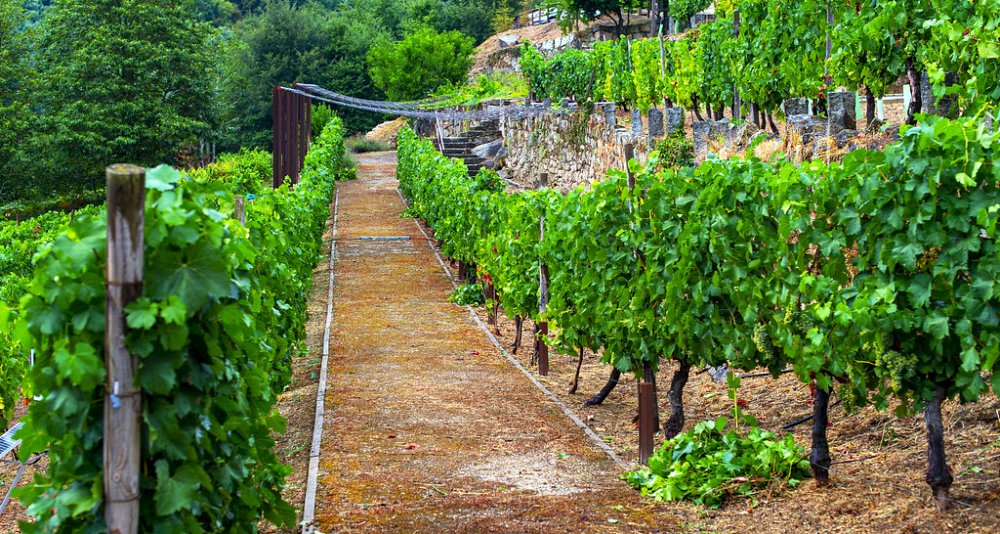 Romantic Gateway in Allariz (3 days/2nights)