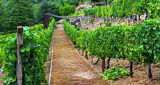 Romantic Gateway in Allariz (3 days/2nights)