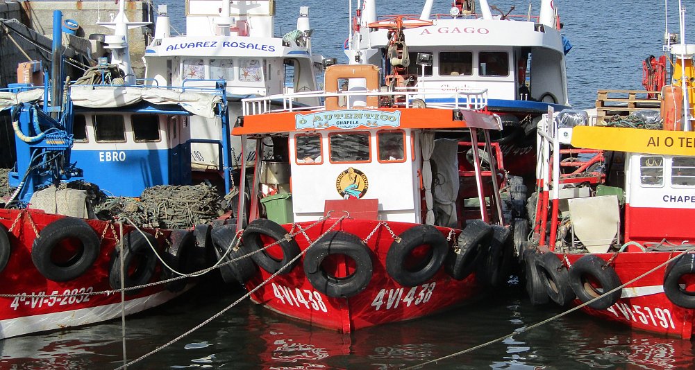 Ruta de los mejillones desde Vigo y Cangas