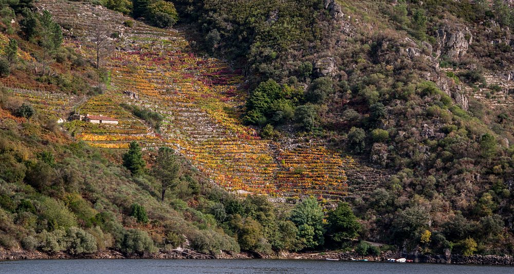 Ruta en catamarán por el Cañón del Sil