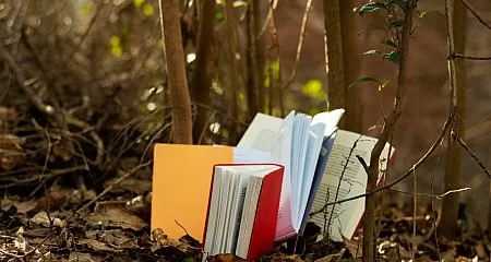 Ruta literaria en Galicia: Rosalía de Castro_93